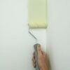 Paint Roller Kit with Extension Pole 9 cm Paint Roller with Tray Mini RollersStainless Steel Extension Pole